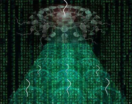 揭密世界上最小的计算机:仅有17个分子
